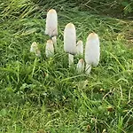 Nature Апартаменты Албрехтице в Йизерских горах