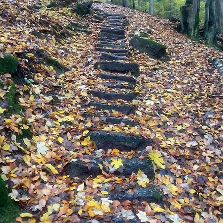 Lägenhet Nature