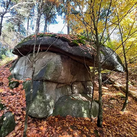 Nature Lägenhet *