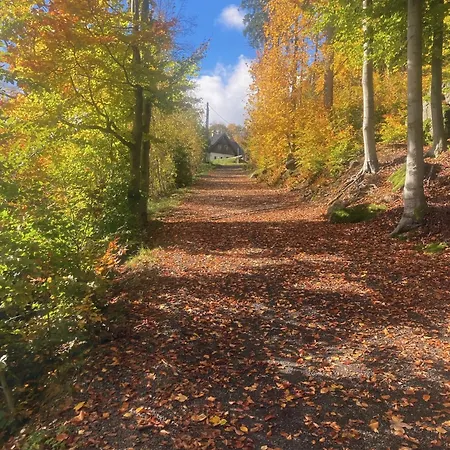 Lägenhet Nature