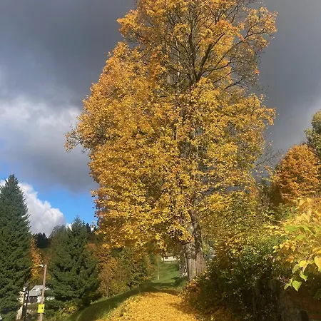 Lägenhet Nature Albrechtice v Jizerskych horach