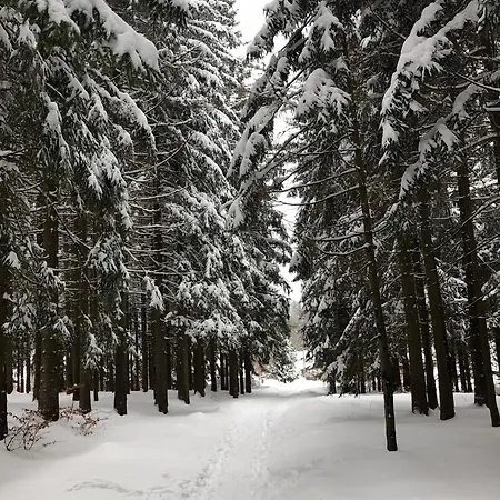 Nature *