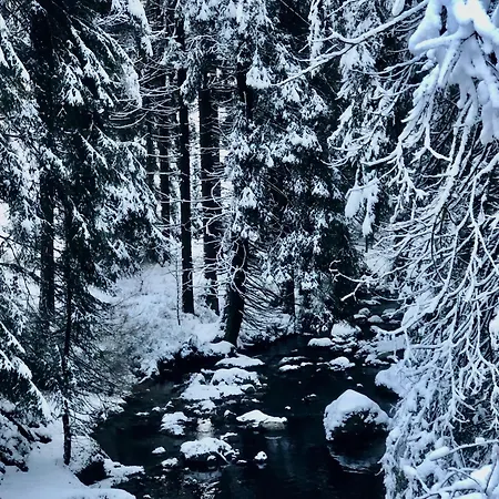 Lägenhet Nature Albrechtice v Jizerskych horach