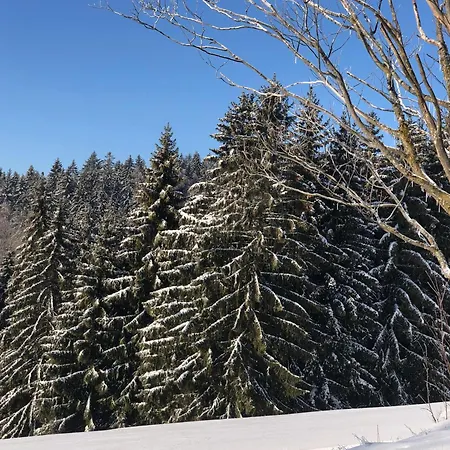 شقة Nature