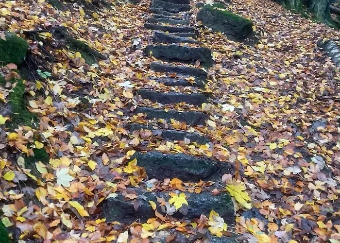 شقة Nature