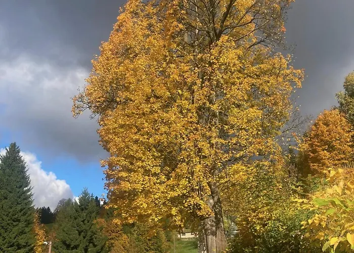 شقة Nature ألبيرتشيك في ييزريسكي هوراش