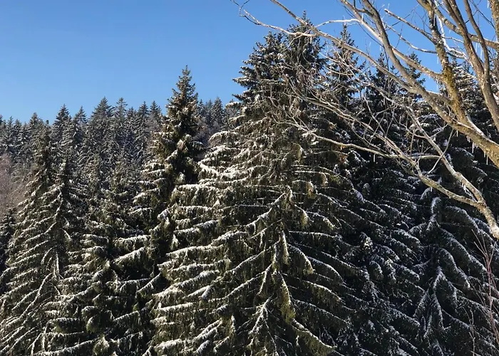 شقة Nature